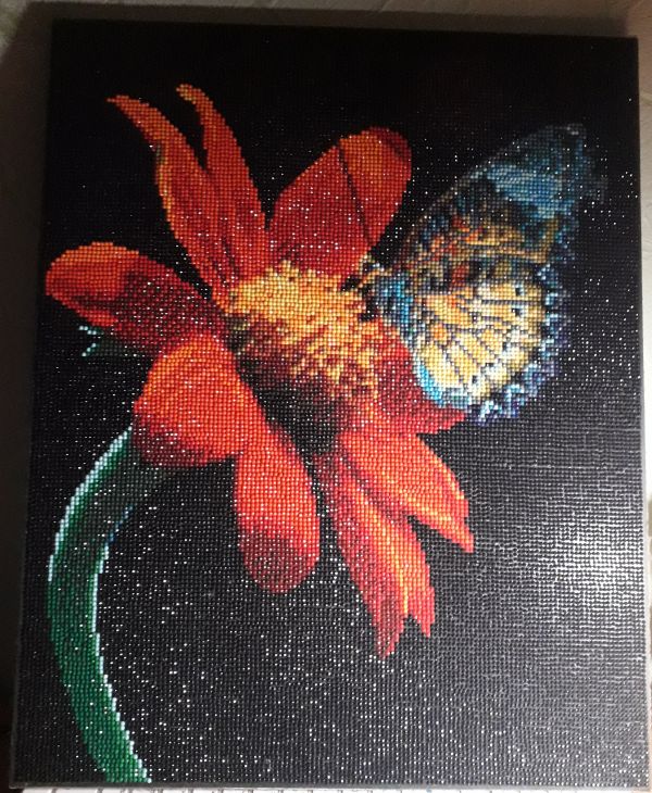 Червона квітка та метелик