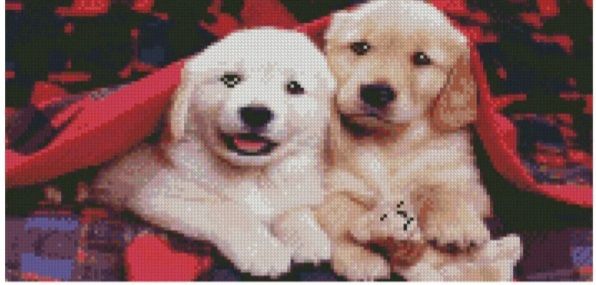 Алмазна мозаїка Пара цуценят