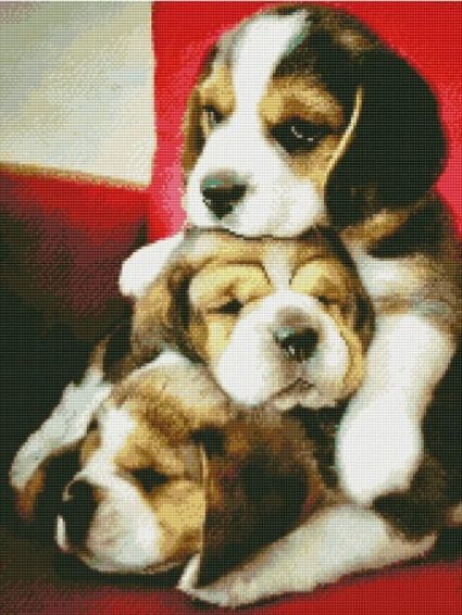 Алмазна мозаїка Сонні цуценята