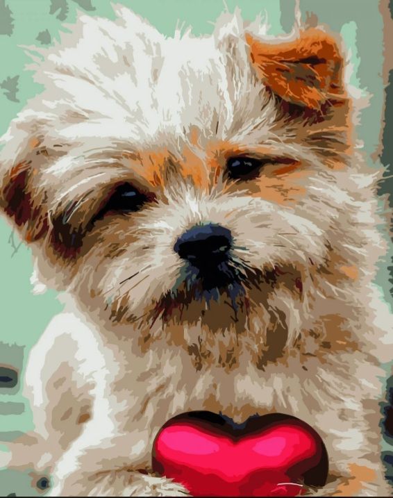 Картина за номерами Тер'єр з сердечком