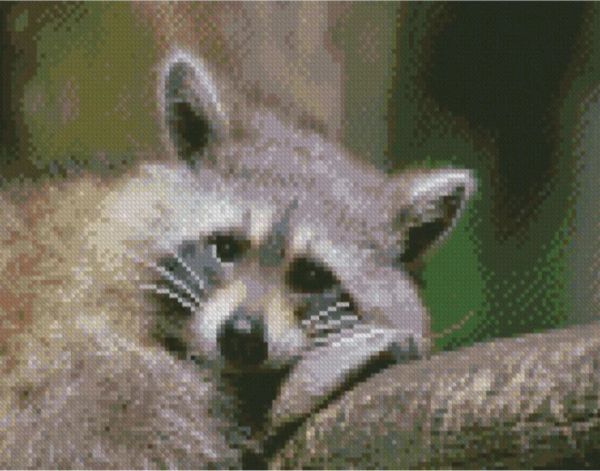 Алмазна мозаїка  Сумний єнотик