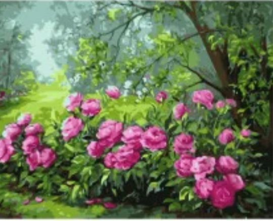 Картина за номерами Барвисті кущі півонії