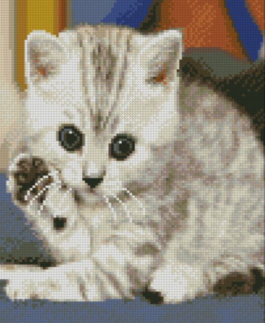 Алмазна мозаїка Маленьке кошеня