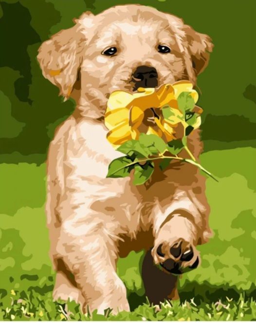 Набір для розпису по номерах Цуценя з квіткою