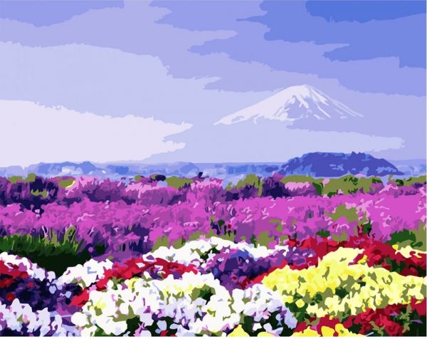 Картина за номерами Поле різнокольорових квітів