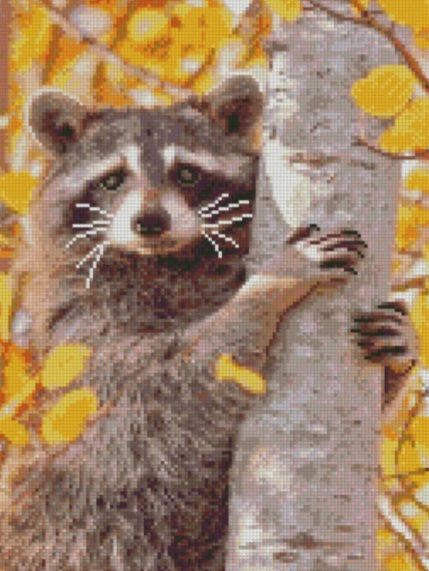 Алмазна картина Єнот на дереві