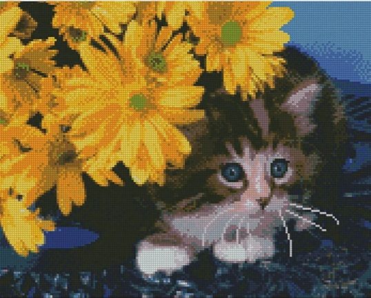 Алмазна картина Кошеня в жовтих квітах