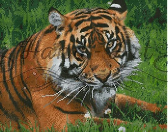 Алмазна картина  Суворий тигр