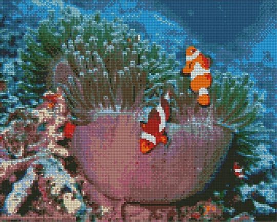 Алмазна картина Океанічні рибки