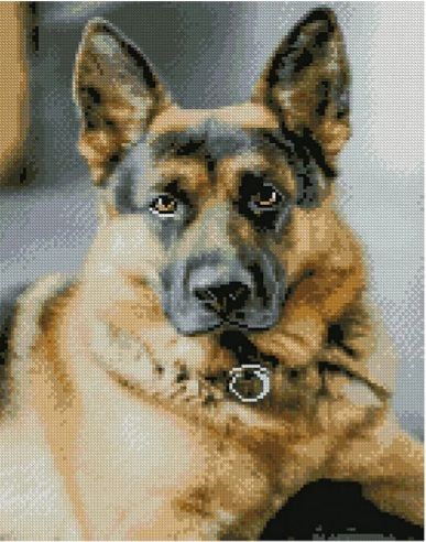 Алмазна картина Найкращий охоронець