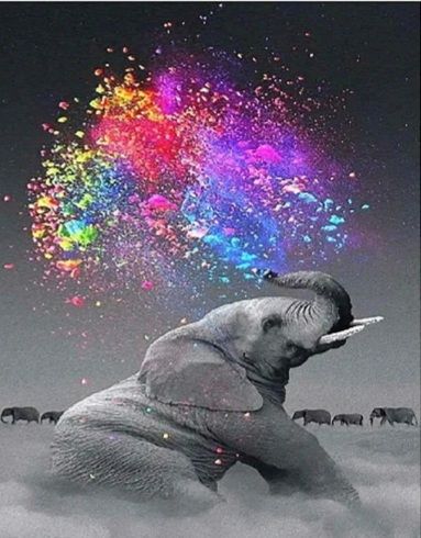 Алмазна картина   Слон у фарбах