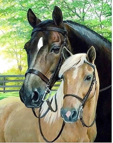 Алмазна картина Двоє коней в парку