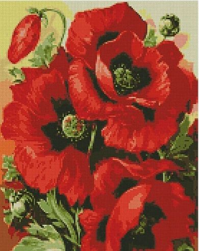 Алмазна картина Барвисті маки