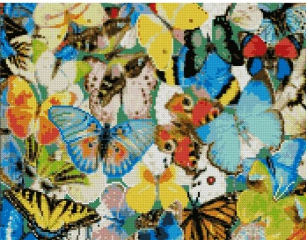 Алмазна картина Барвисті метелика