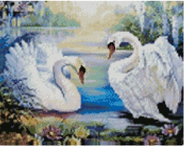Алмазна картина Пара білих лебедів