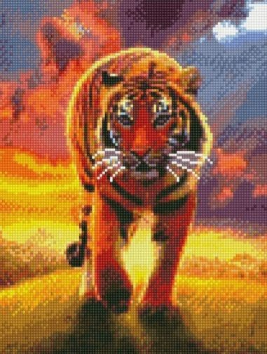 Алмазна мозаїка Тигр у променях сонця