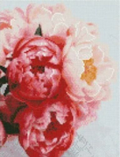 Алмазна мозаїка Квітучі півонії