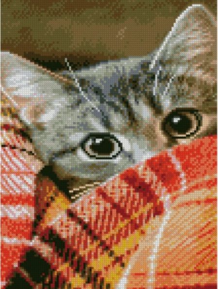 Алмазна мозаїка  Затишні очі