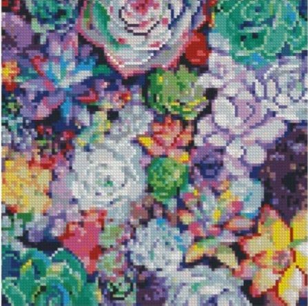 Алмазна мозаїка Різнокольорова ехеверія