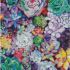 Алмазна мозаїка Різнокольорова ехеверія