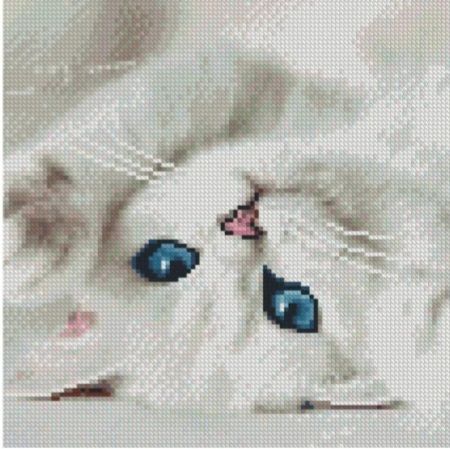 Алмазна мозаїка Блакитні очі котика