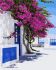 Картина за номерами  Квіткове дерево біля дверей