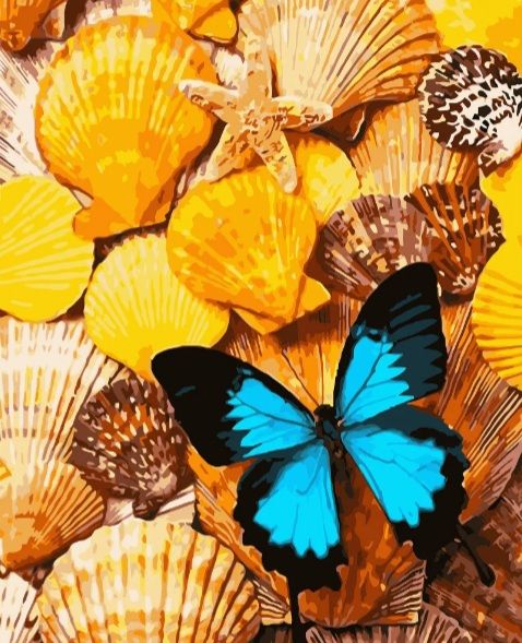 Картина за номерами Метелик на раковинах