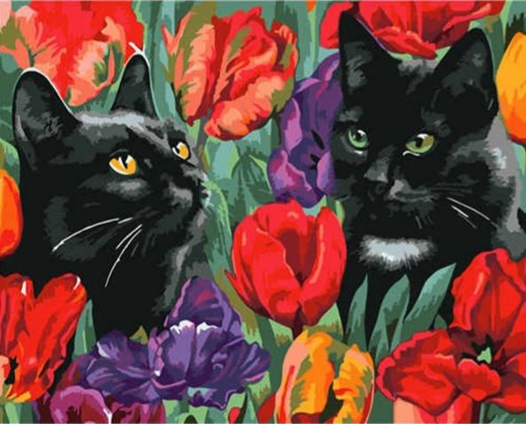 Картина за номерами Коти у тюльпанах