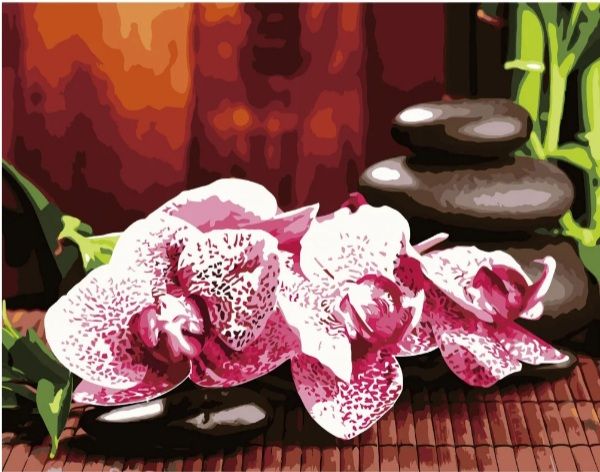 Картина за номерами Яскраві орхідеї