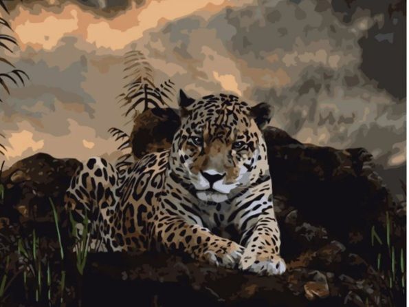 Картина за номерами Втомлений леопард