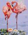 Картина за номерами Пара фламінго