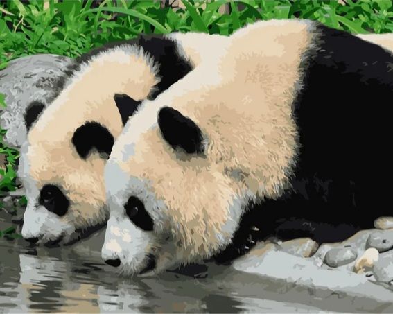 Картина за номерами Панди