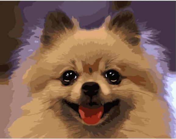 Картина за номерами  Портрет шпіца