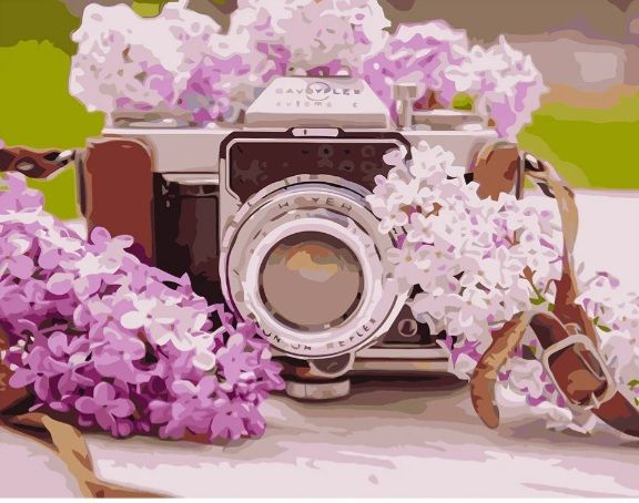 Картина за номерамиФотоапарат з бузком