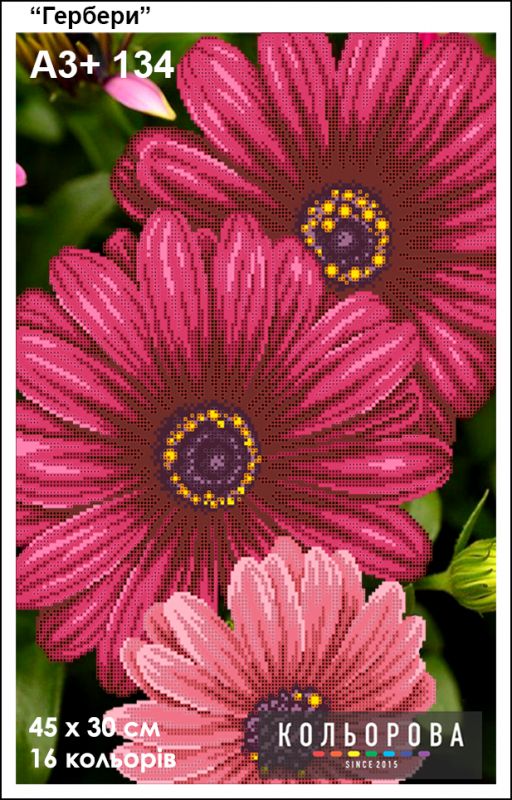 Схема для вишивки  Гербери