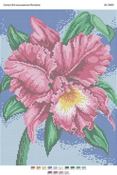 Схема для вишивки Орхідея