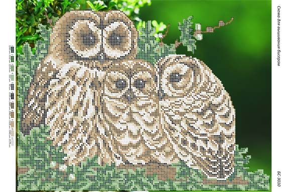 Схема для вишивки Сови