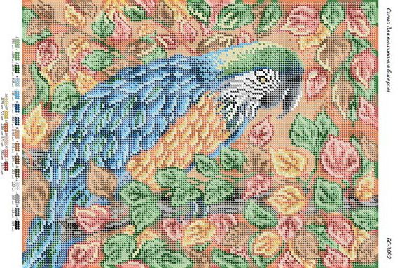 Схема для вишивки Папуга