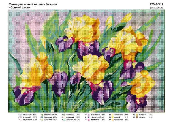 Схема для вишивки часткова Іриси
