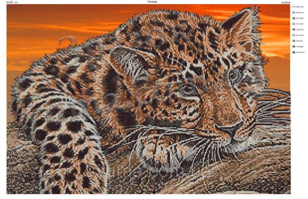 Схема для вишивки часткова  Леопард1
