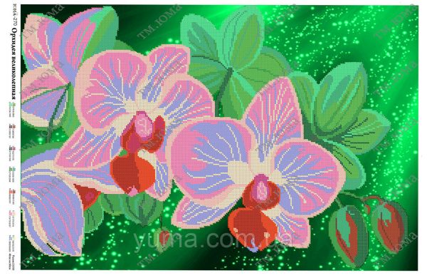 Схема для вишивки Орхідея 1