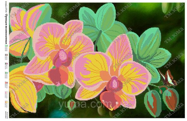 Схема для вишивки Орхідея 2