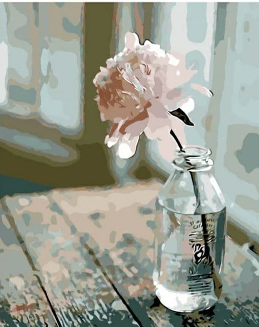 Картина за номерами  Ніжний рожевий піон