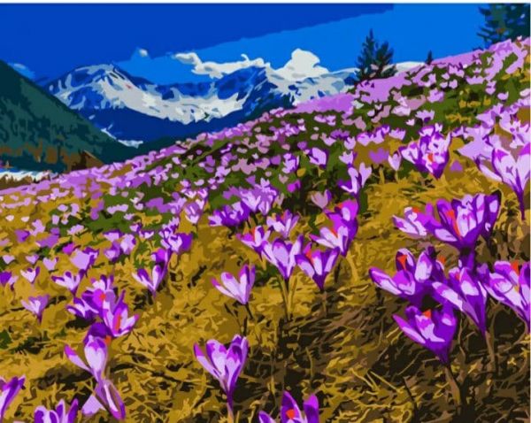 Картина за номерами Поле крокусів