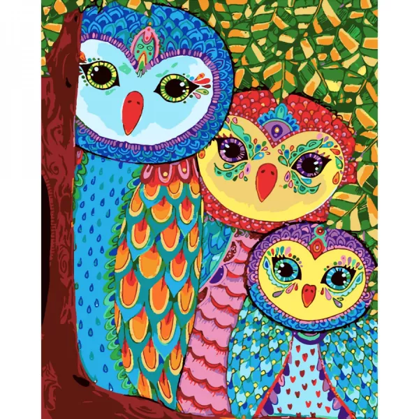 Набір для розпису по номерах Загадкові сови