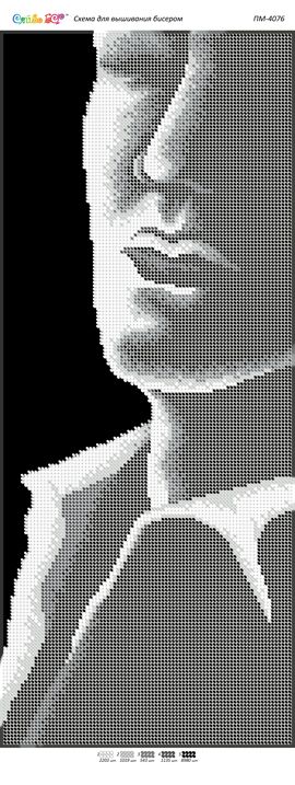 Панно для вишивки Він